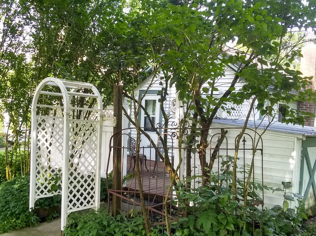The Bird's Nest Bed and Breakfast主图