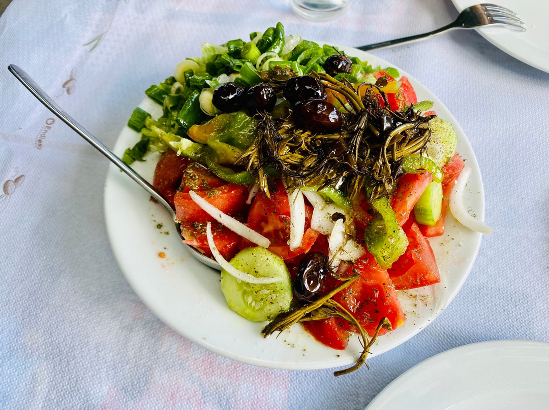 Seta旅游攻略图片