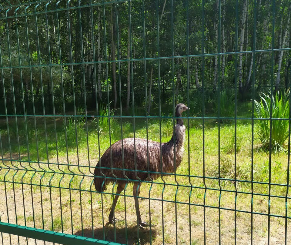 Belgorod Zoo景点图片