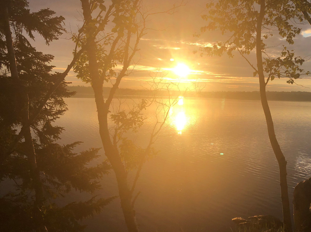 Cobscook Bay State Park景点图片