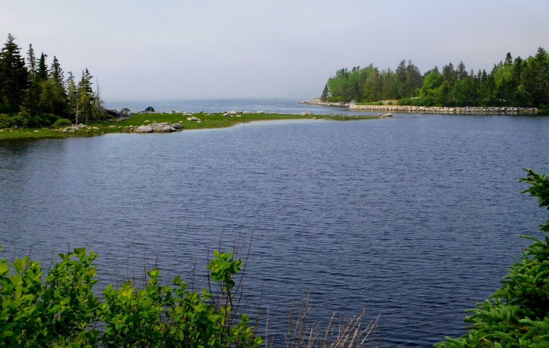 East River Provincial Park景点图片