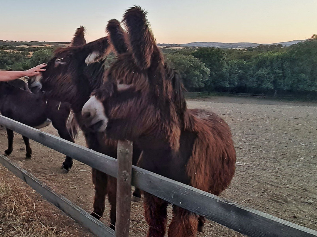 Atenor旅游攻略图片