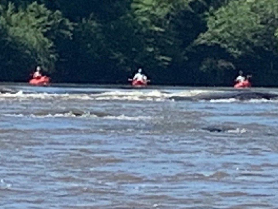 Flint River Adventures-Thomaston必去景点