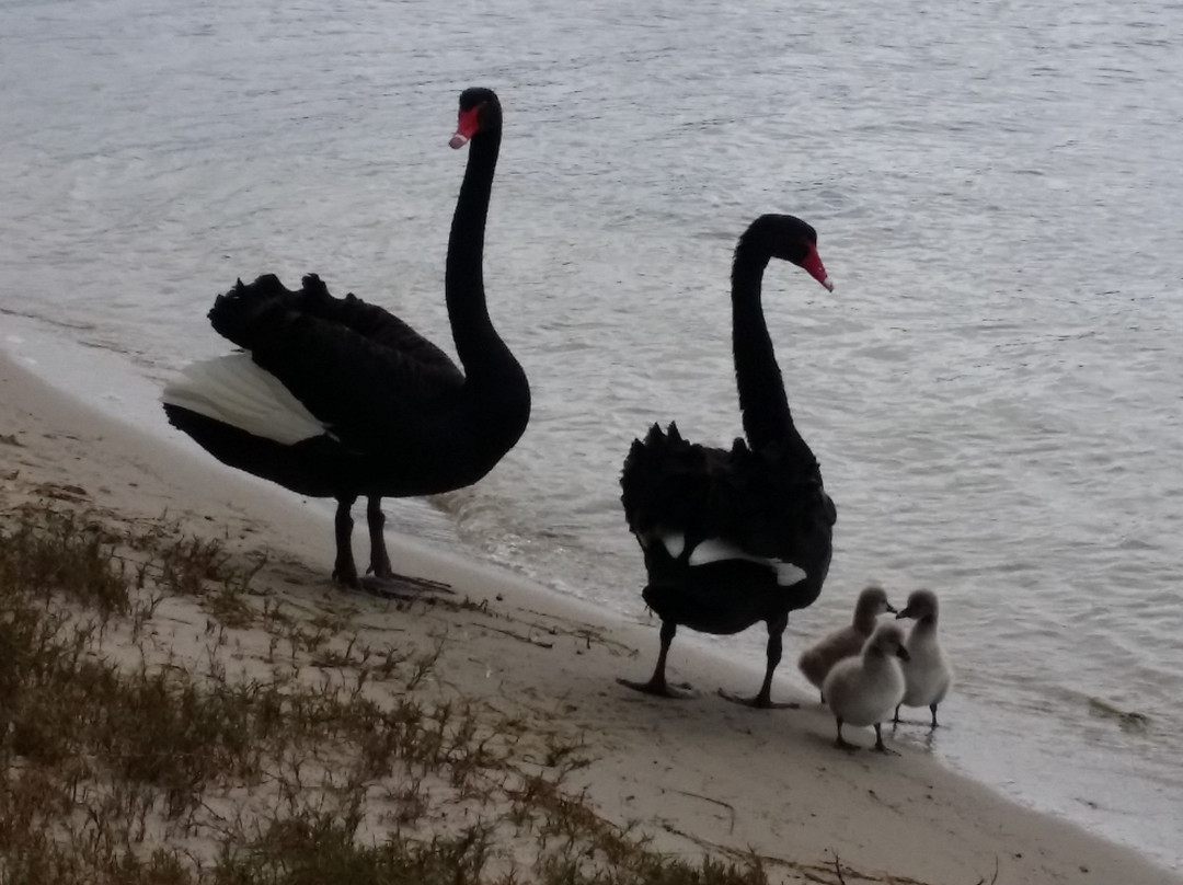 Fraser Island Retreat Lakes Entrance主图