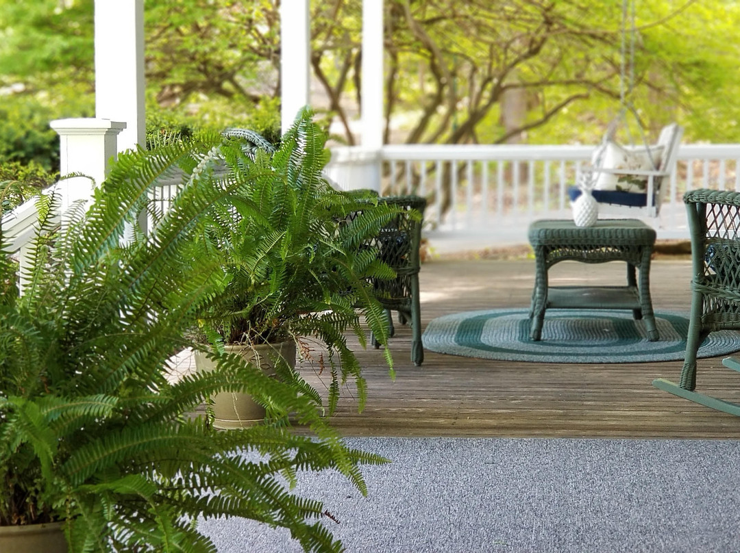 Timbercliffe Cottage Inn主图