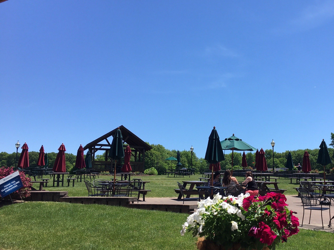 Debonné Vineyards-Madison必去景点