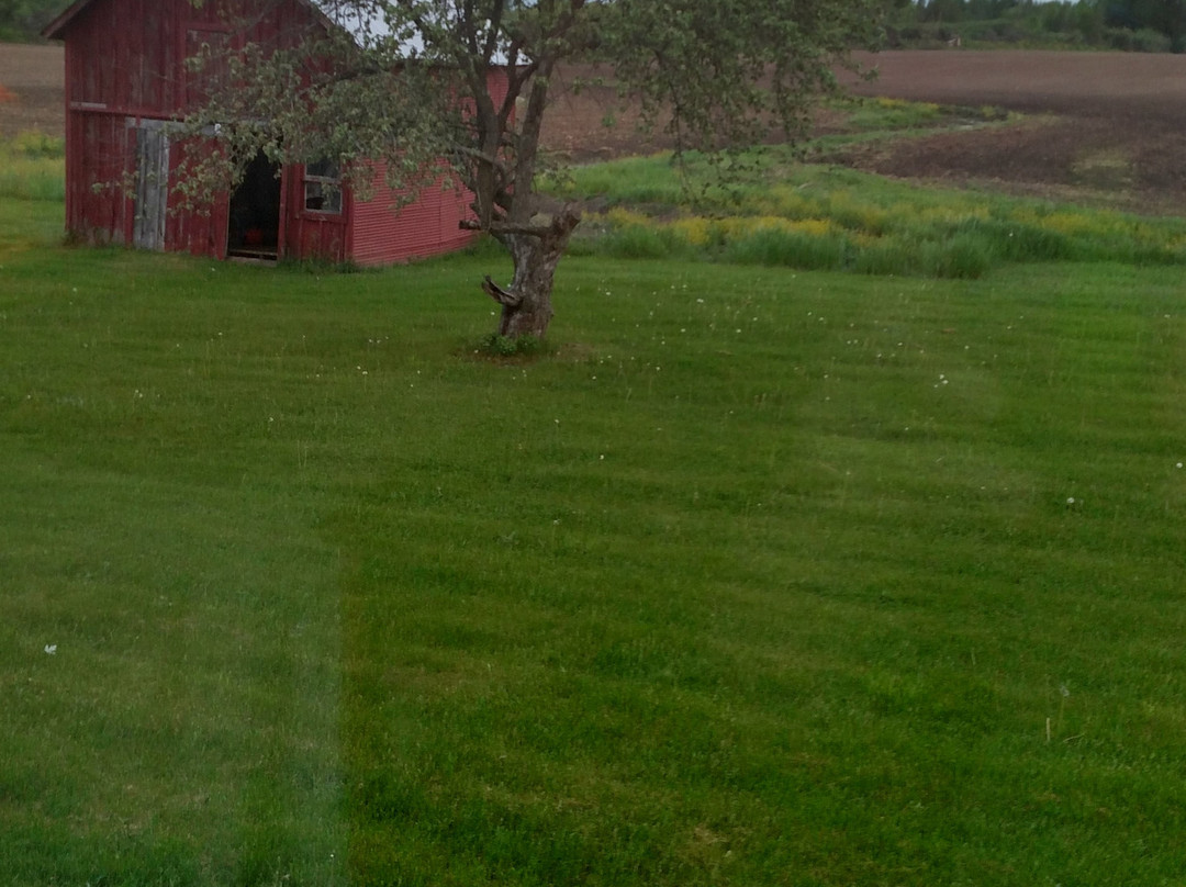 White Pillars Lodging主图