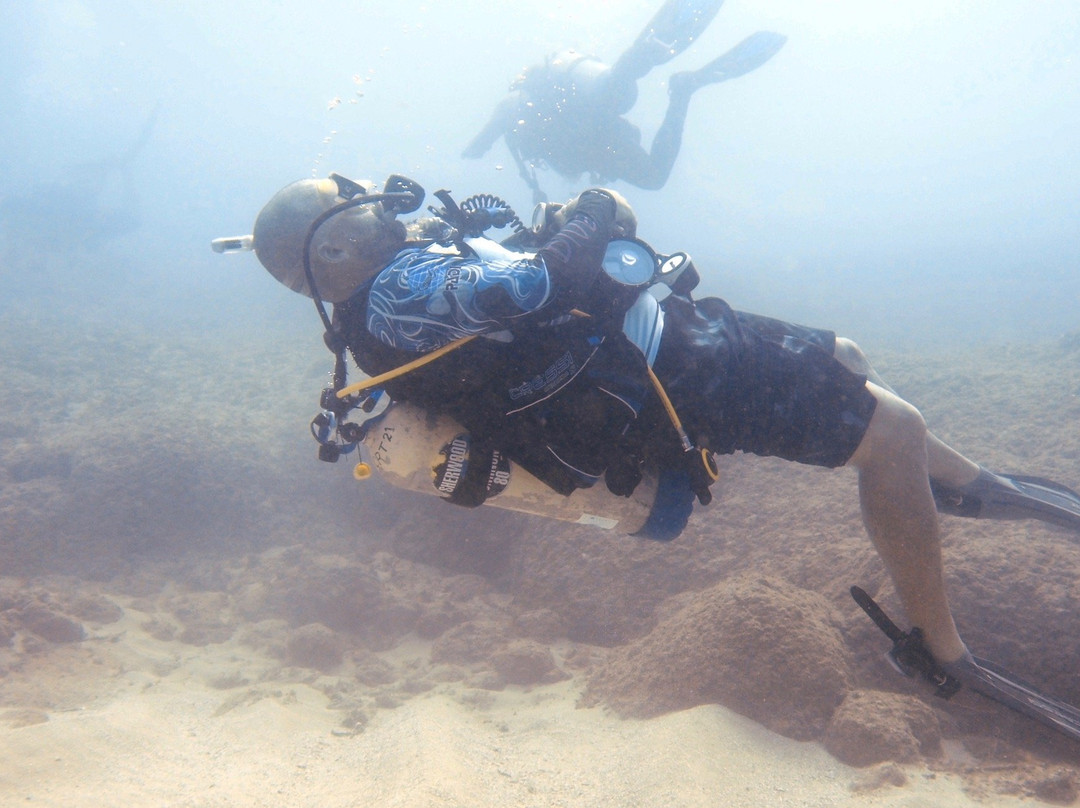 Neptunes Divers PR-Manati必去景点