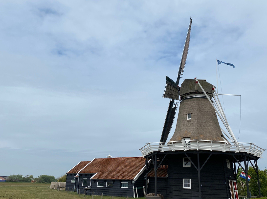 Koren- En Mosterdmolen de Verwachting景点图片