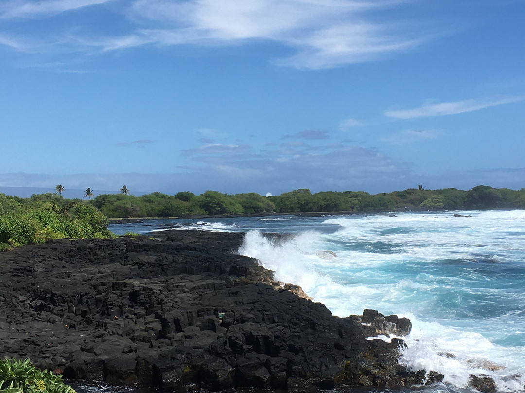 Whittington Beach Park-纳勒胡必去景点