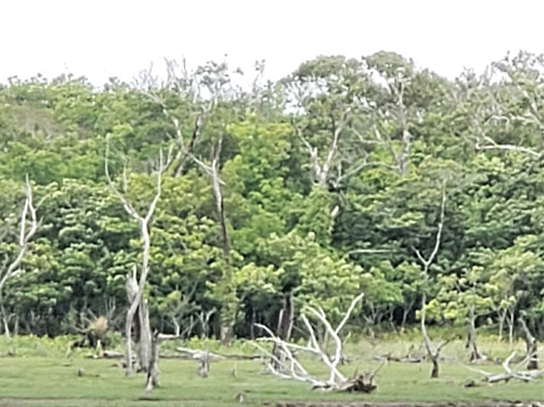 Narawara-别海町必去景点