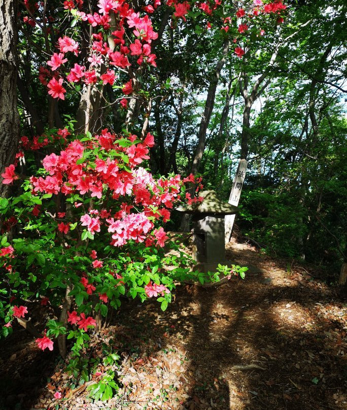 Ozawa Castle Ruin-稻城市必去景点