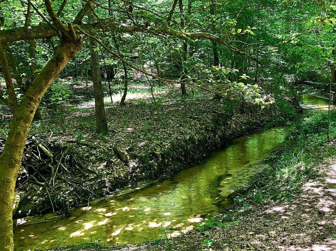 Wahrani Nature Park-New Kent必去景点
