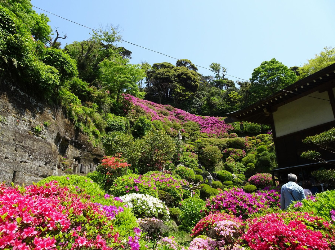 Butsugyoji Temple-镰仓市必去景点