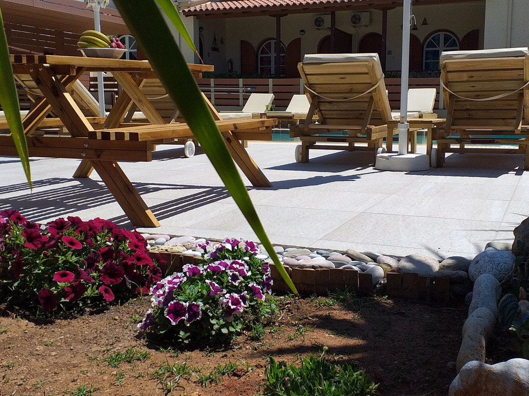 Athina Apartments (Zervas)主图