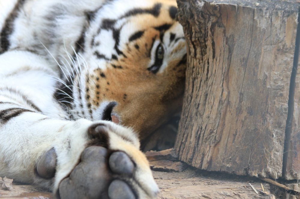 Visit Minot-Minot必去景点