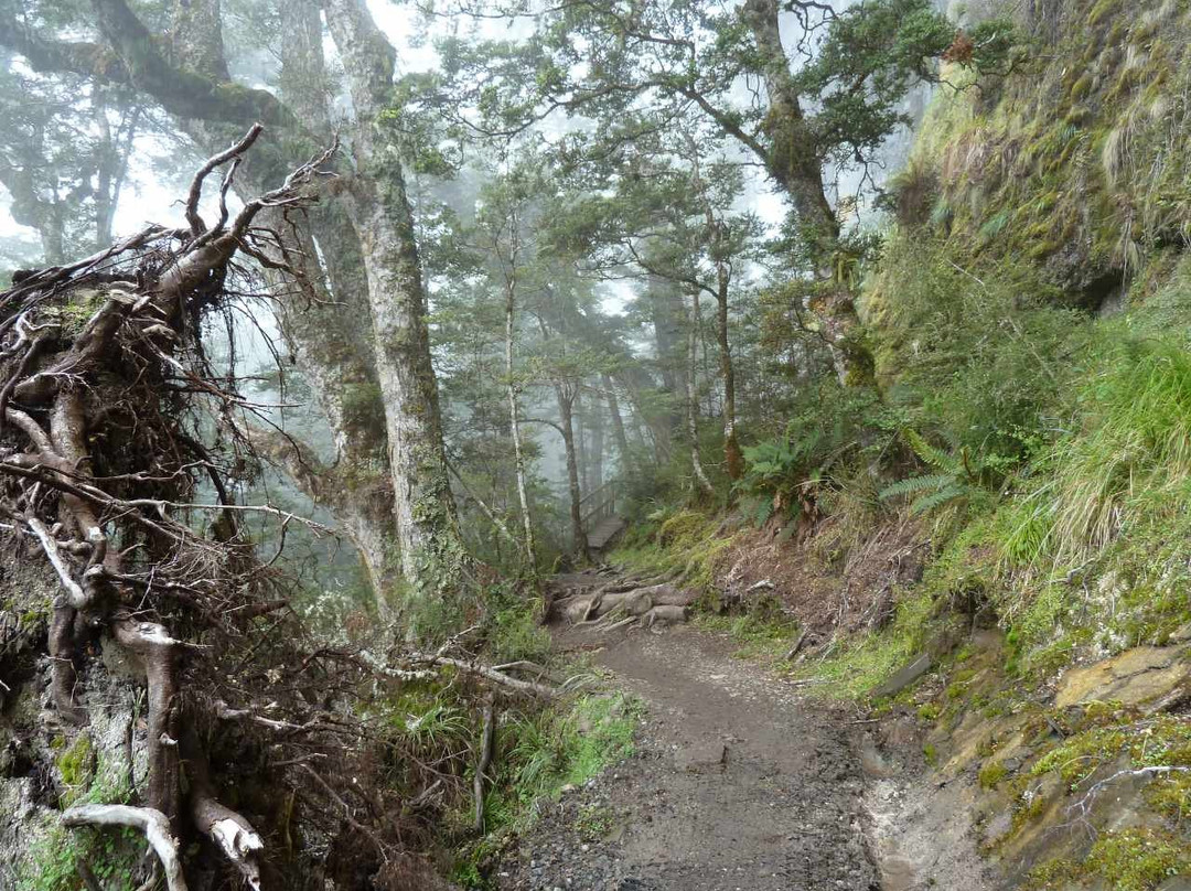 开普勒步行道-蒂阿瑙必去景点