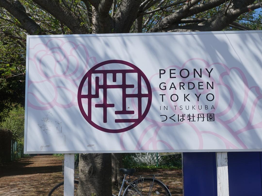 Peony Garden Tokyo (Tsukuba Peony Garden)景点图片