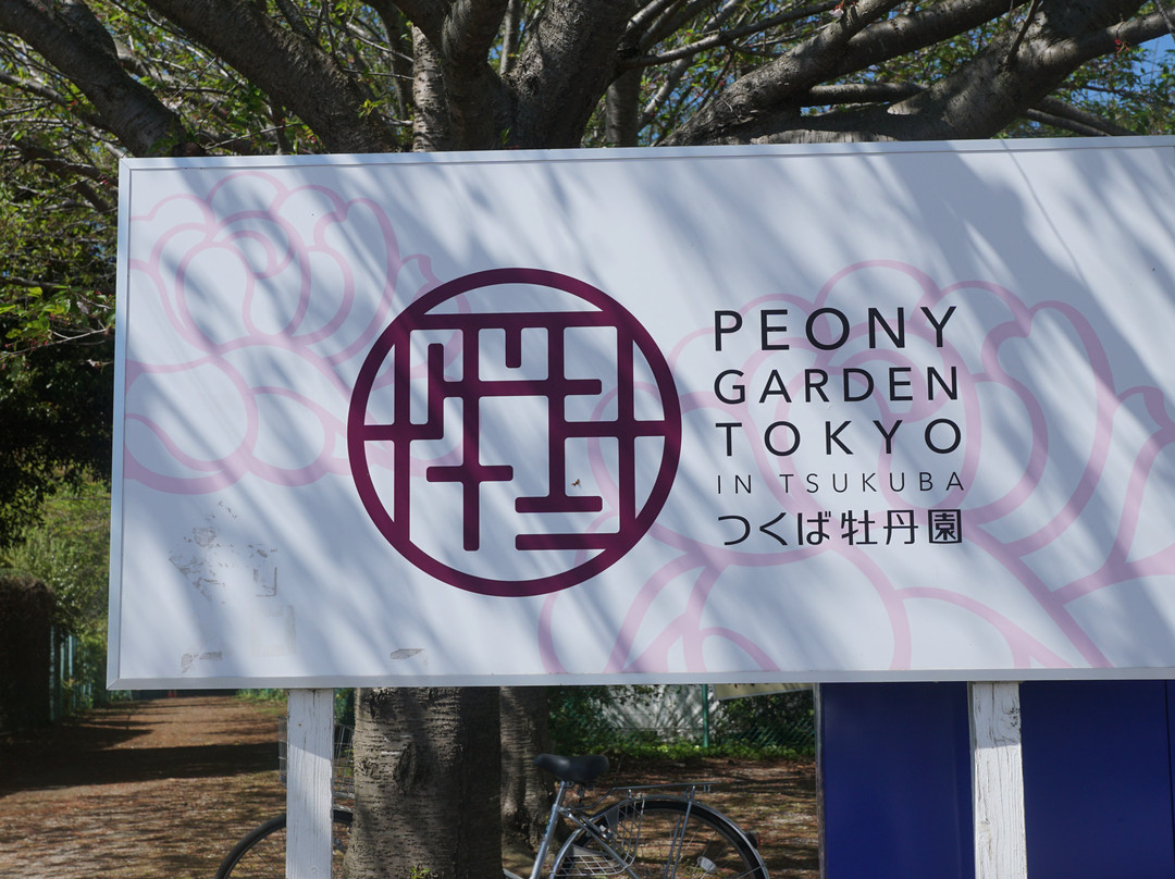 Peony Garden Tokyo (Tsukuba Peony Garden)-筑波市必去景点