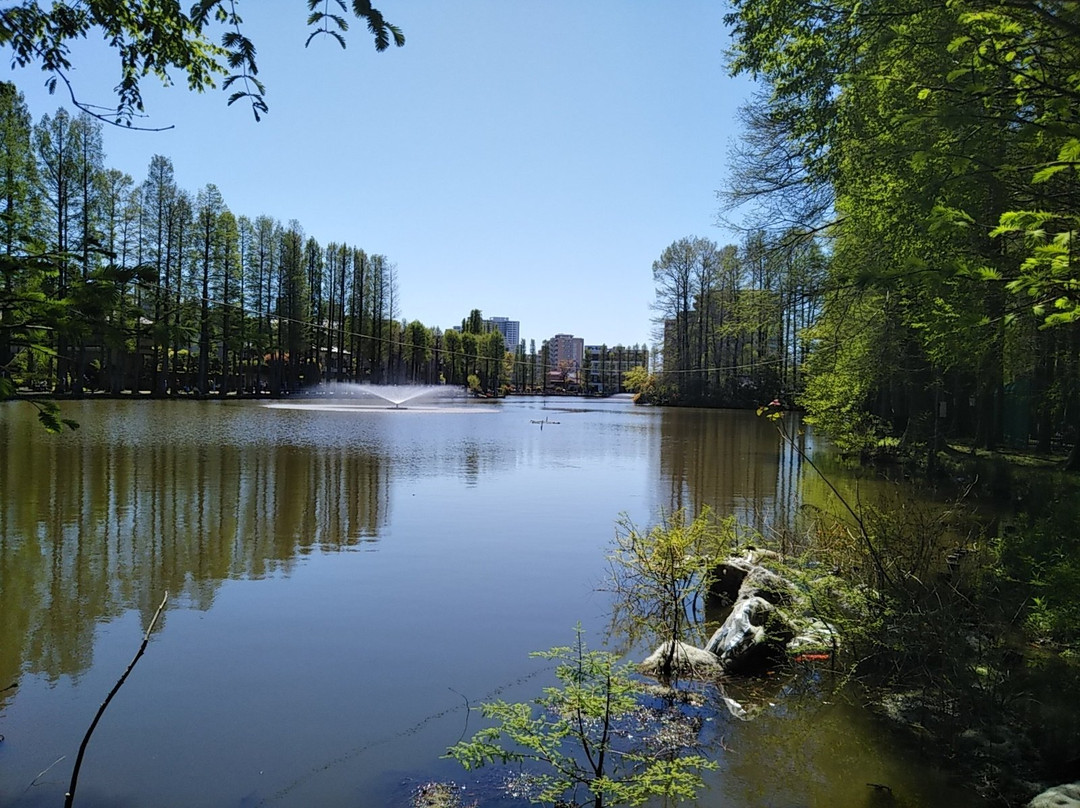 Besshonuma Park-埼玉市必去景点