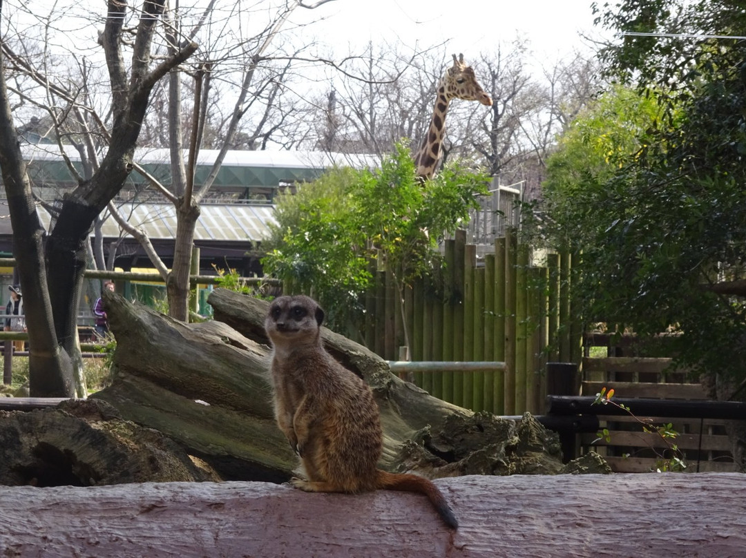 Itozu no Mori Zoological Park-北九州市必去景点