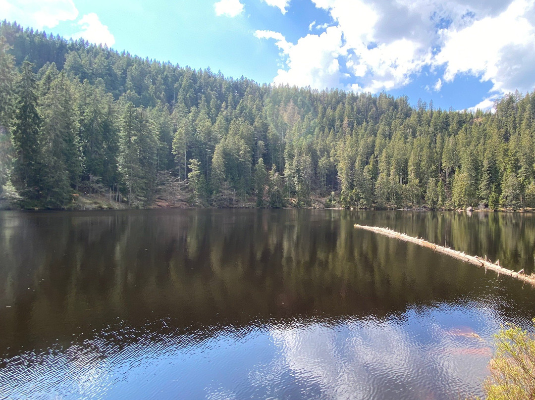 Glasswaldsee-Bad Rippoldsau-Schapbach必去景点