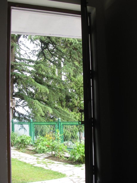 Ivy Bank Guest House-酒店景观