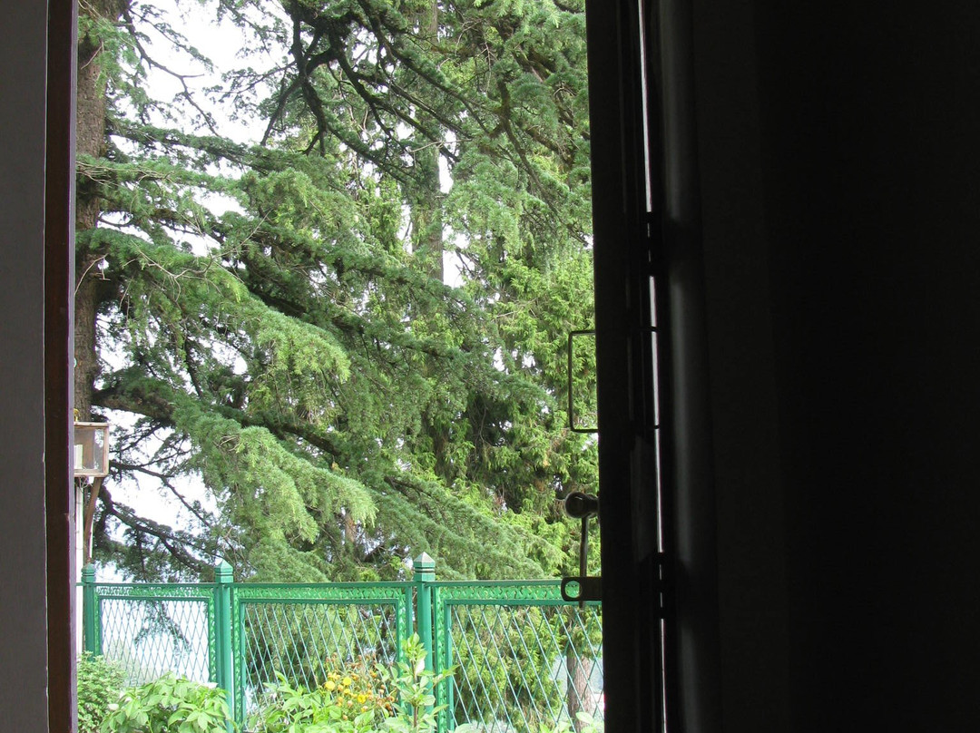 Ivy Bank Guest House主图