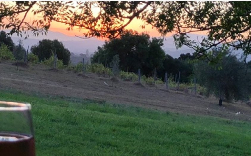 Rozendal Guest Farm主图