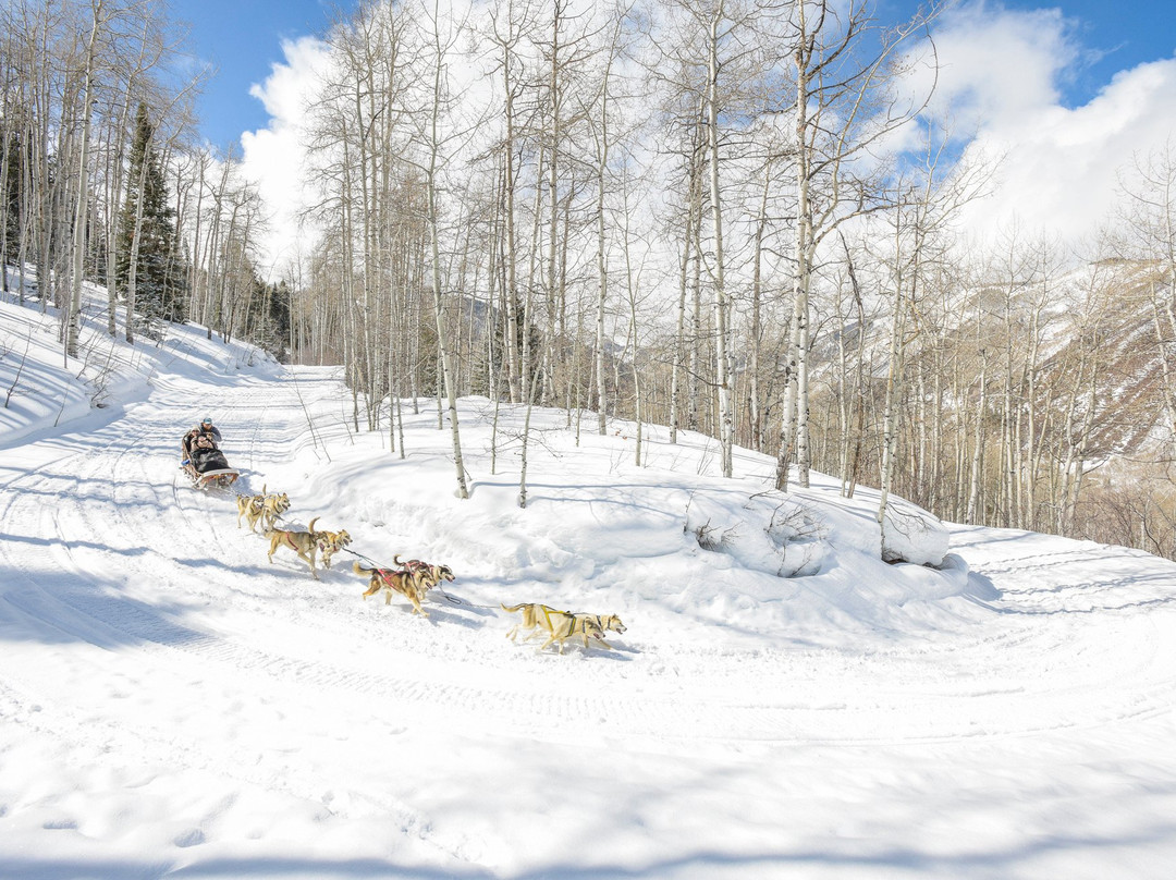 Krabloonik Dogsled Rides-斯诺马斯村必去景点