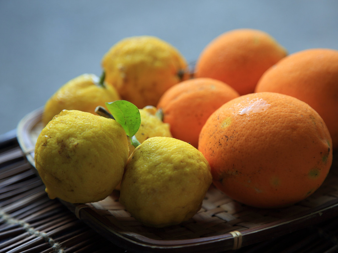 Bishoku to Iyashi no Yado Kohanso主图