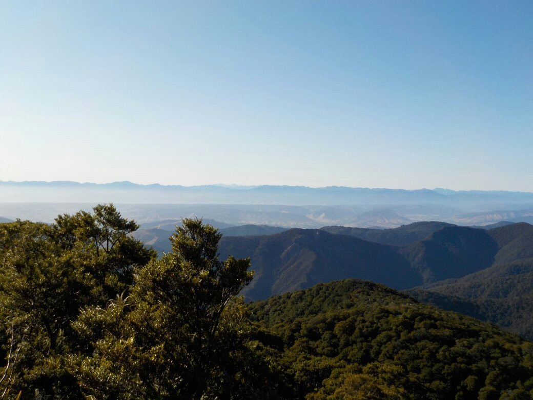 Flora Hut & Mount Arthur Hut tracks景点图片