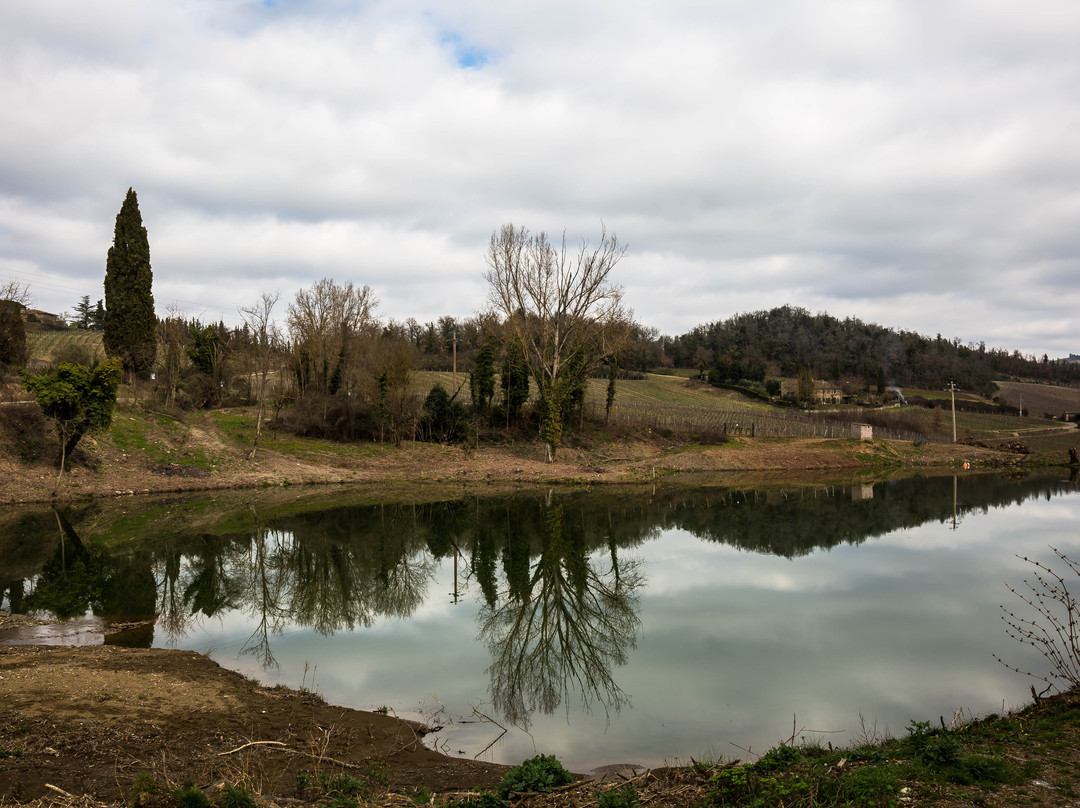 Fattoria della Aiola景点图片