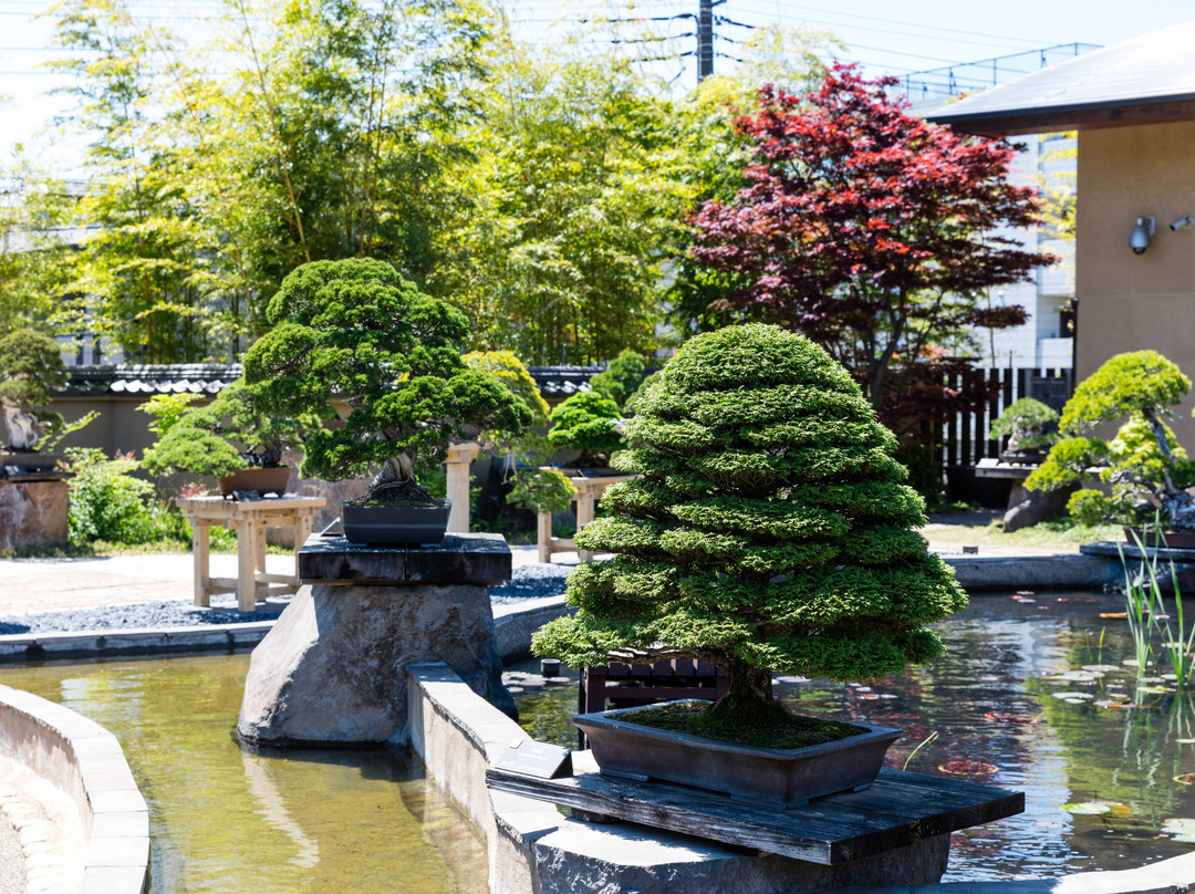 The Omiya Bonsai Art Museum Saitama-埼玉市必去景点