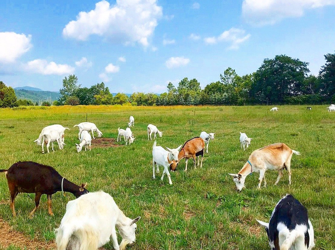 ドメーヌレゾン