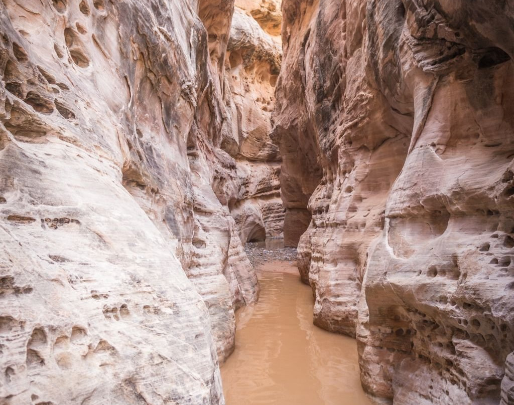 White Domes Trail-欧弗顿必去景点