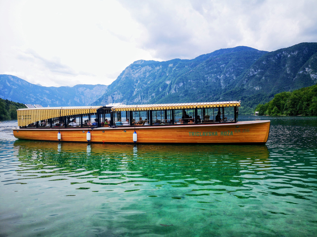 Boat Bohinj景点图片