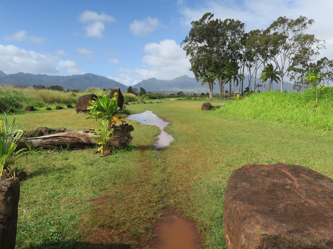 Kukaniloko Birthing Stones-瓦西瓦必去景点