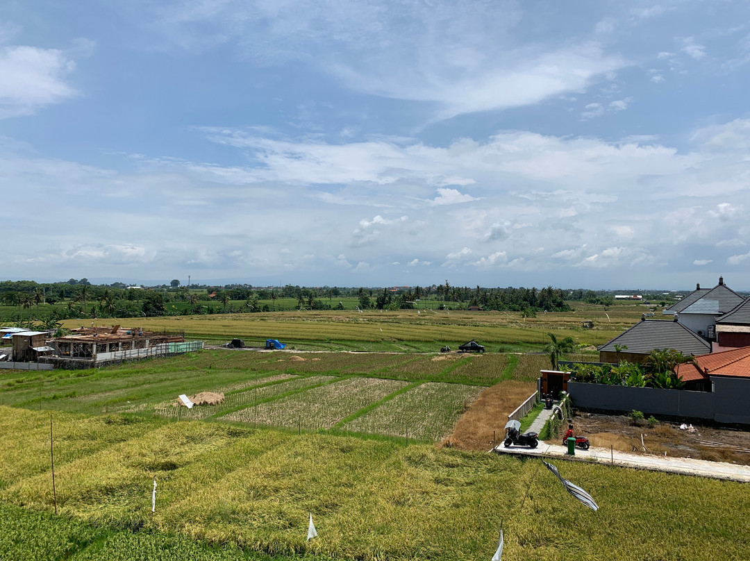 The Double View Mansions主图