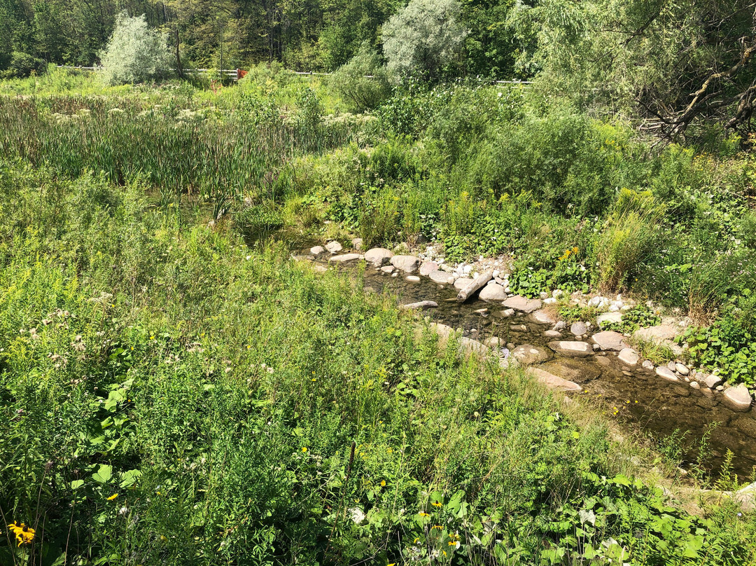 Terra Cotta Conservation Area-霍尔藤山市必去景点