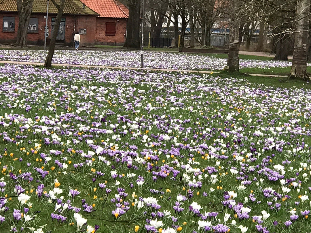 Stadtpark景点图片