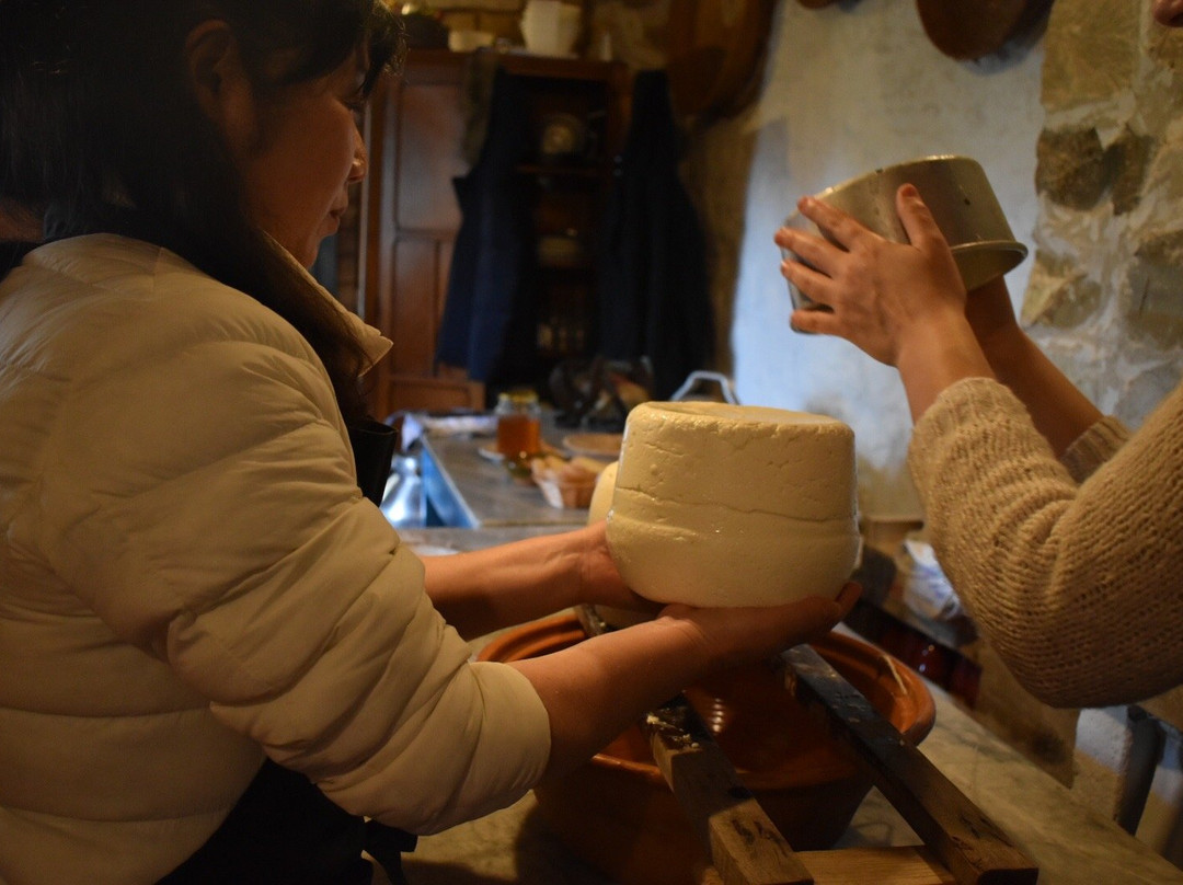 Motus Travel-萨萨里省必去景点