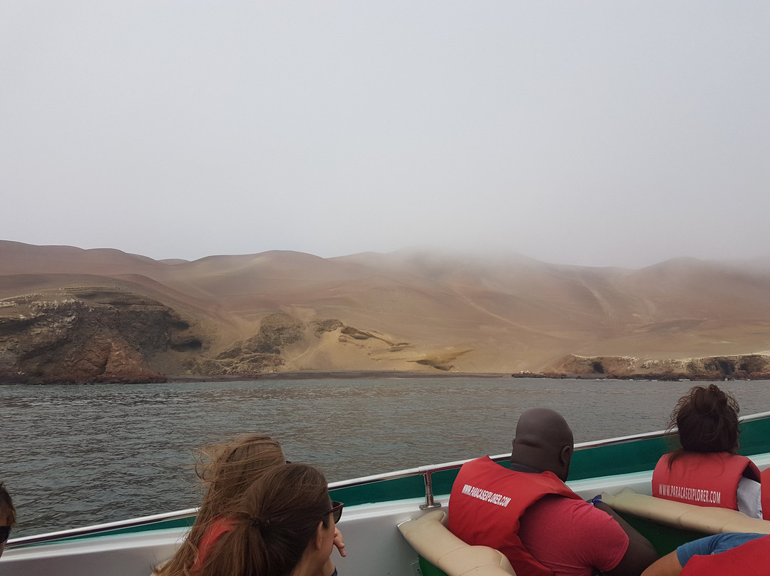 The Chandelier-帕拉卡斯必去景点