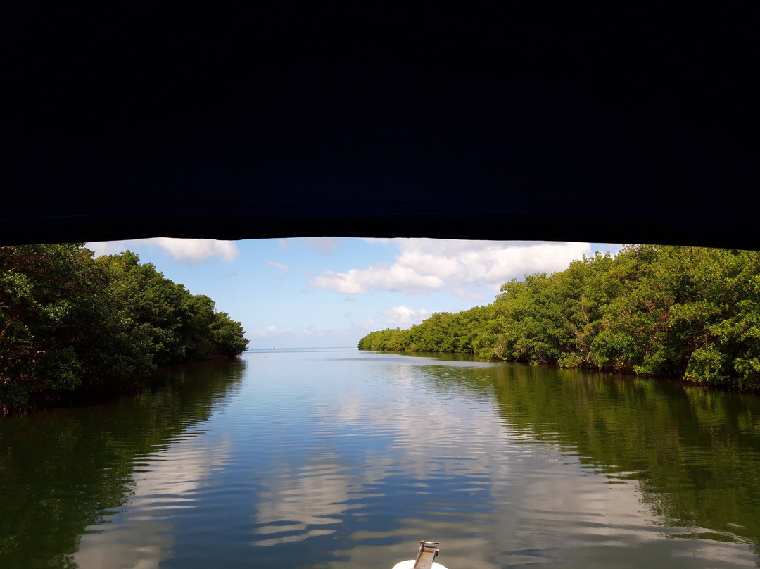 Vincent Excursions-Morne-A-l'Eau必去景点