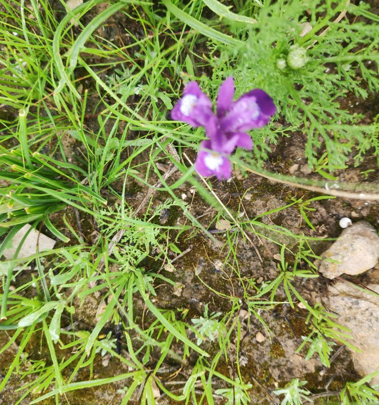 Monument to the Negev Brigade-贝尔谢巴必去景点
