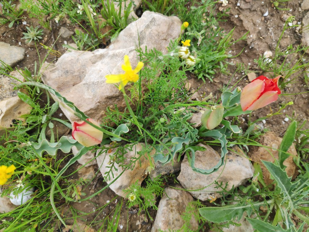 Monument to the Negev Brigade-贝尔谢巴必去景点