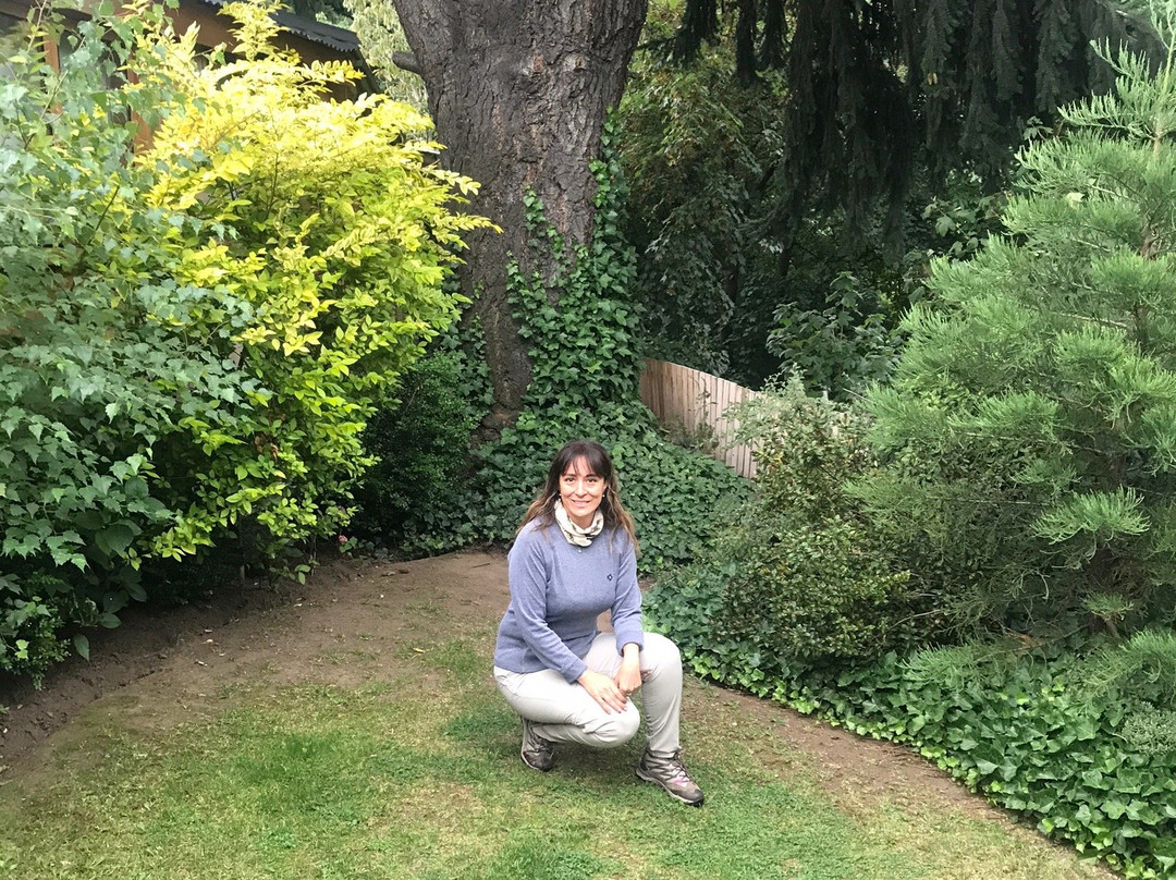 Raices Bed and Breakfast主图