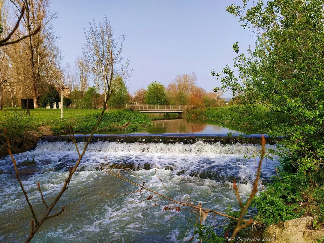 Parque da Devesa景点图片