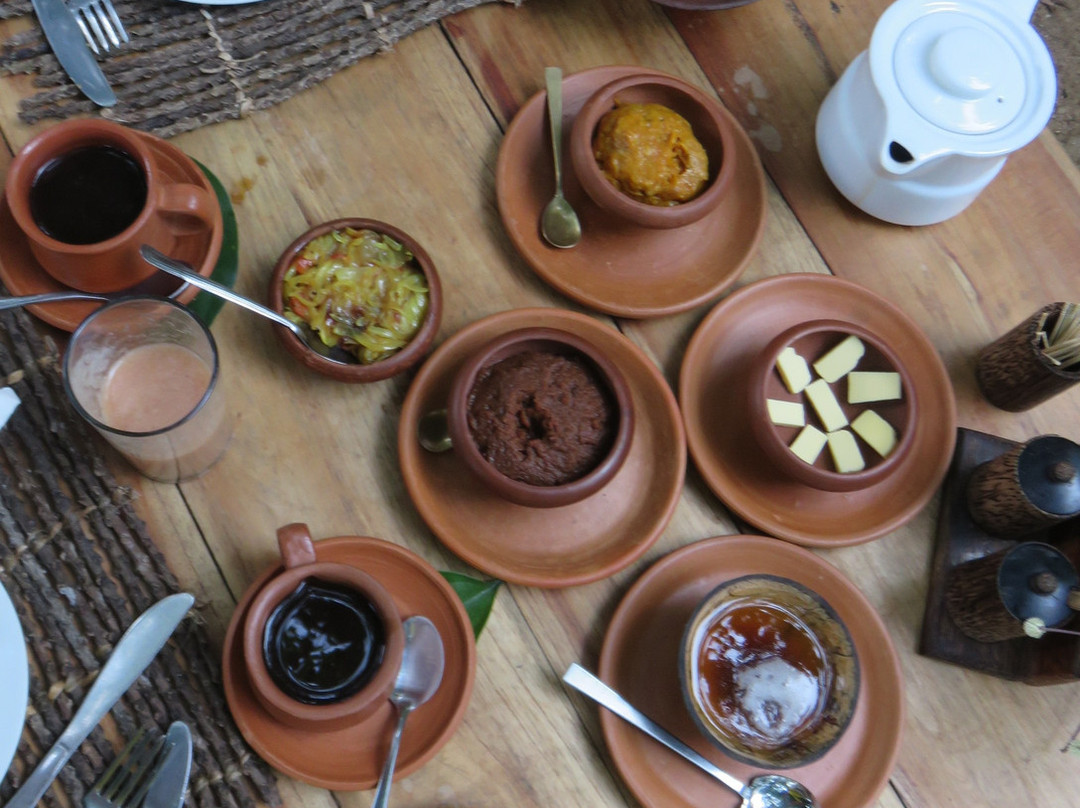 Ecolanka - Maussawa Estate主图