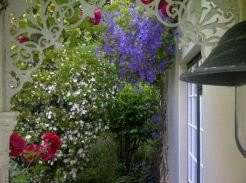 High Hopes Of Greyton主图